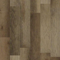 Altamonte Hickory Scrape Altamonte Hickory Scrape