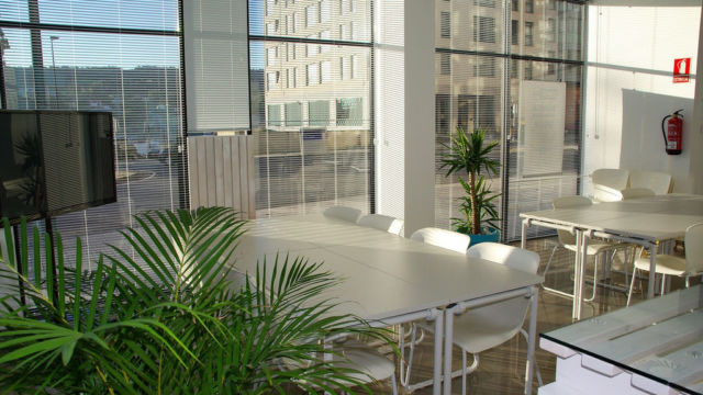 Commercial Office Renovation Commercial Office Renovation