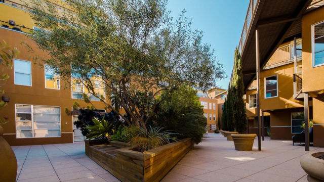 Landscaping Landscaping