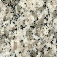 Tiger Skin White Tiger Skin White