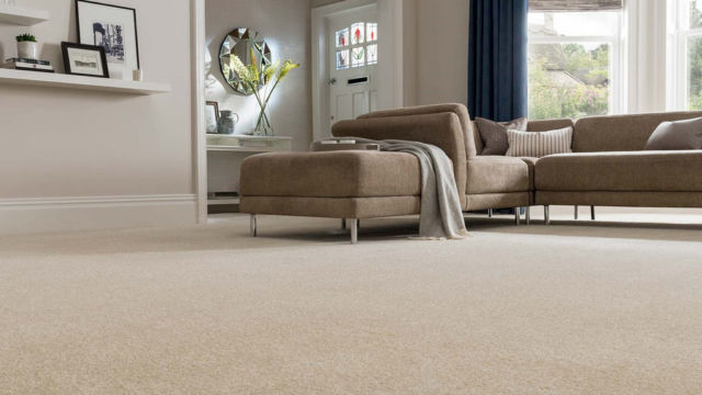 carpet case carpet case