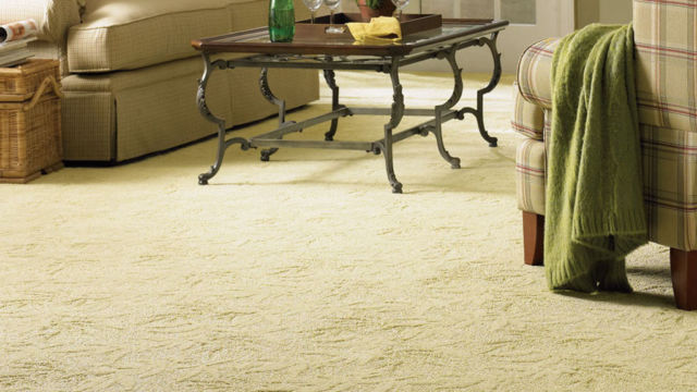 carpet case carpet case