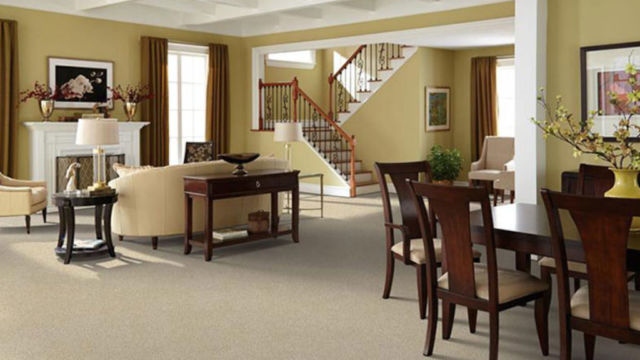 carpet case carpet case